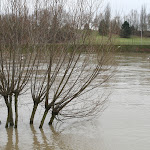 Berges de Seine