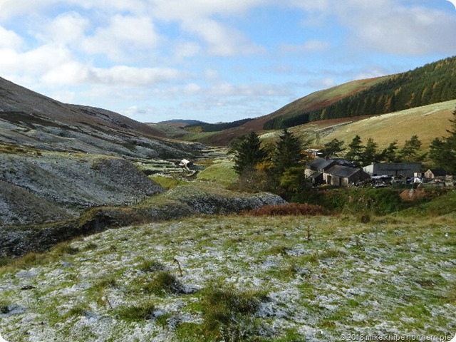 windy gyle 029