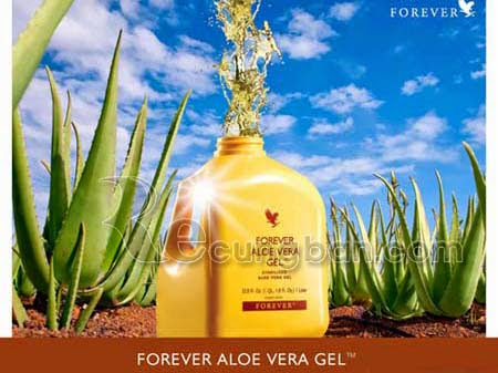 Nước uống dinh dưỡng Aloe Vera Gel ® mã số 015