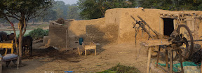 A Pano on Village life; Mohlanwal village