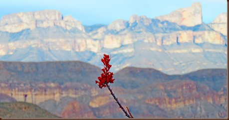 Big Bend11-5 Apr 2016