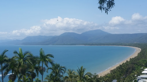Trinity Bay Lookout