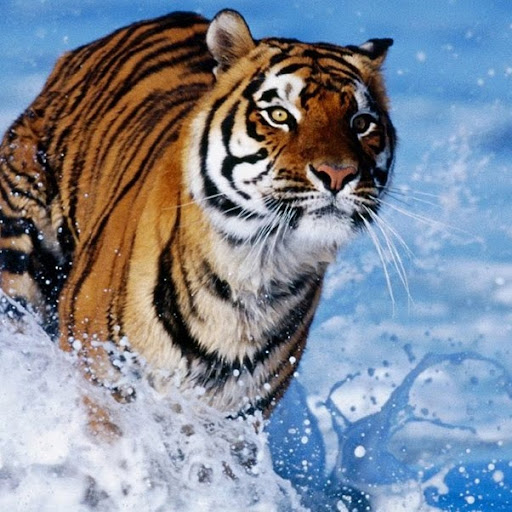 Enrique martnez celaya the october cycle 2000 2002