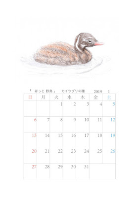 2019-1hotyatyocalendarブログ用.jpg