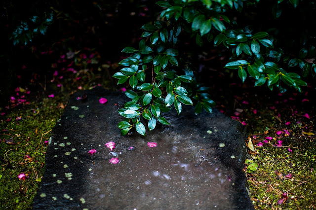 川越のお寺　中院