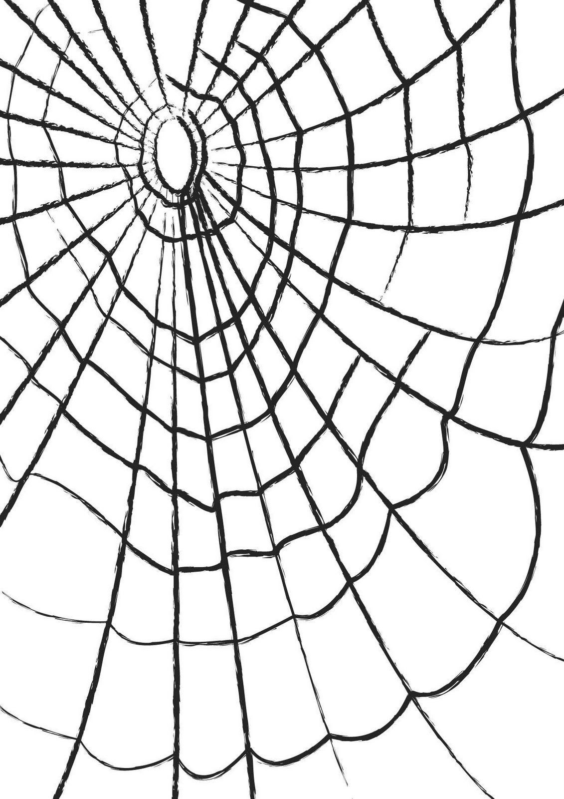 12. Cobweb Paper