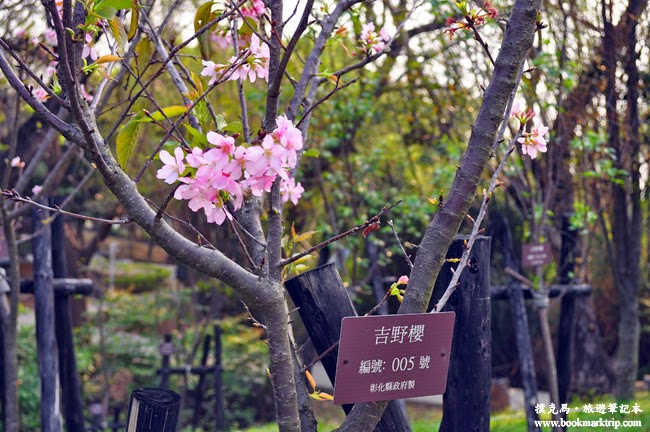 華陽公園