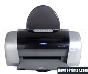 Reset Epson D88 printer use Epson Waste Ink Pad Counters resetter