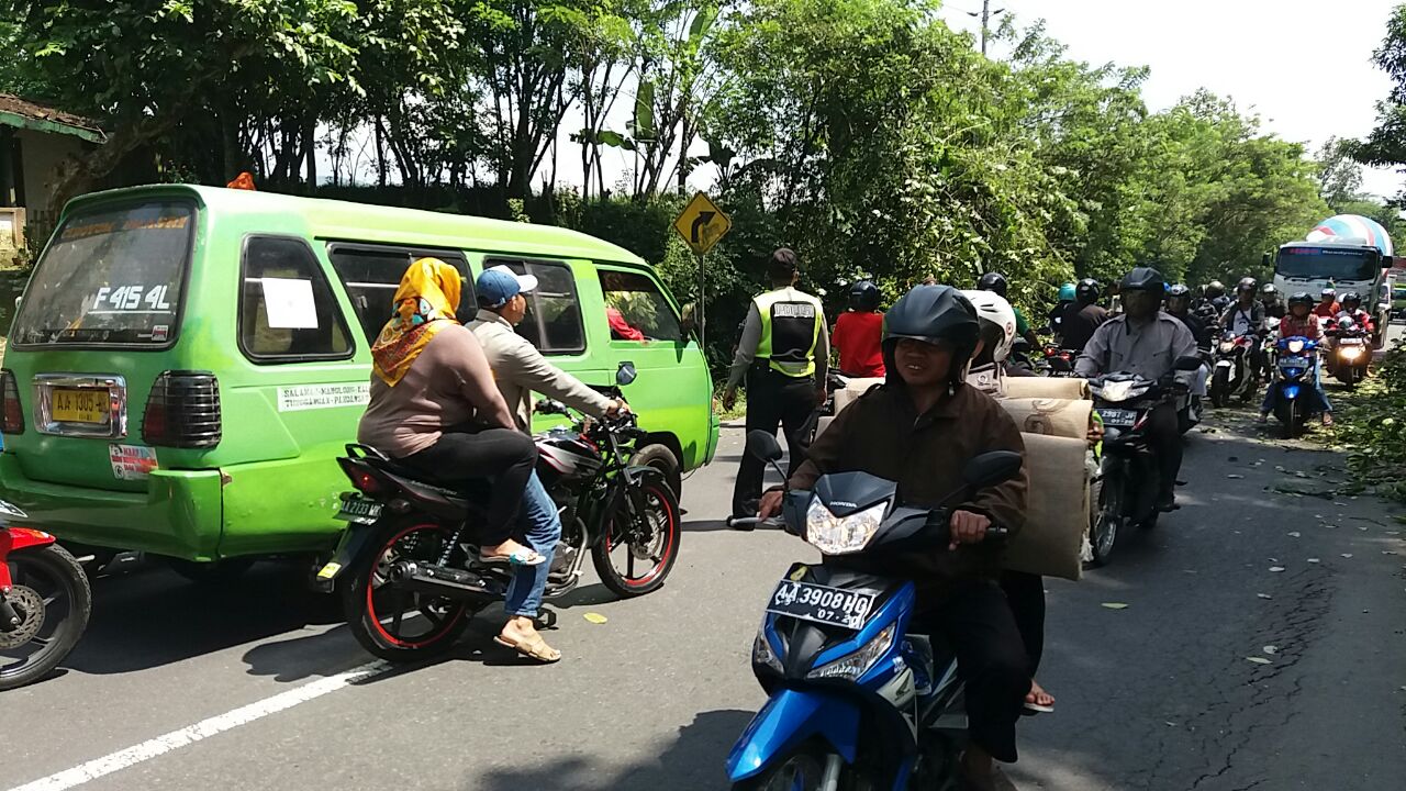 Linus Transport Magelang - Isuzu Indonesia - Edit i did of ...