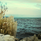 Cold and windy. 20121210-01-vättern-ice-windy.jpg