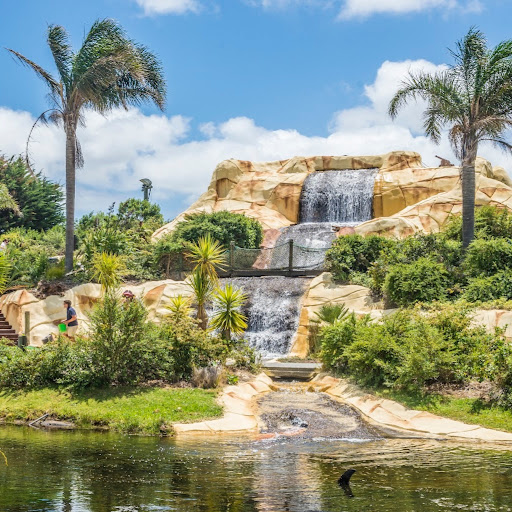 Treasure Island Adventure Golf logo