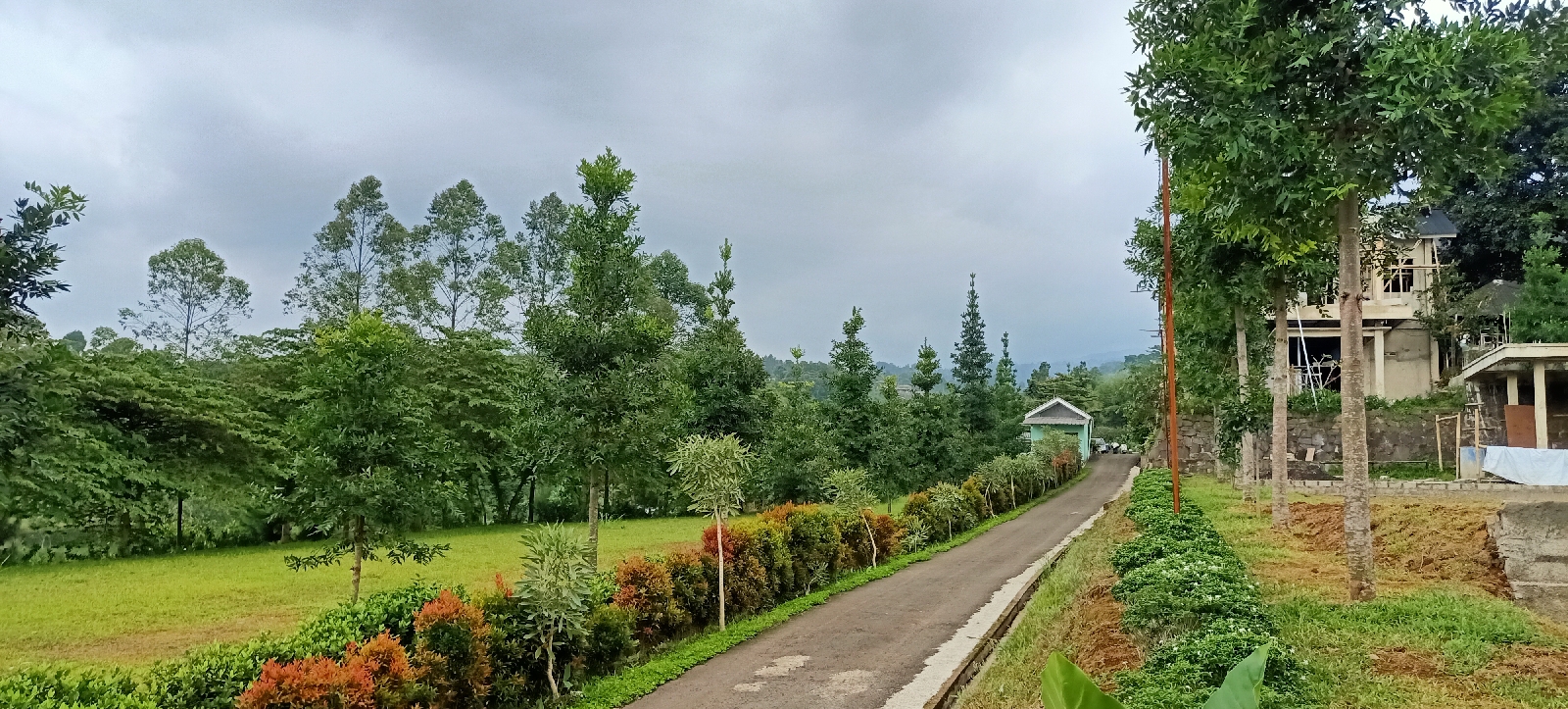 Kebun jati pancawati