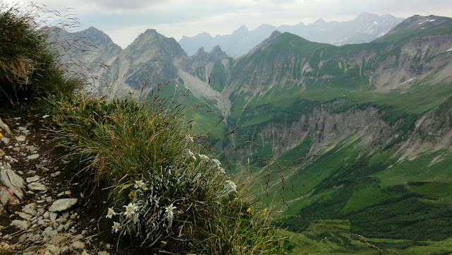 Tour Oberstdorf Älpelesattel Allgäu - Gipfelkreuz 2259 Meter Höfats Südostgipfel