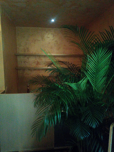 Le Papagayo