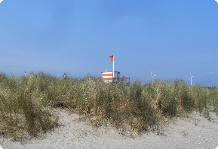 Amager Strand - juni 2016