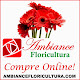 Floriculture Ambiance Manaus