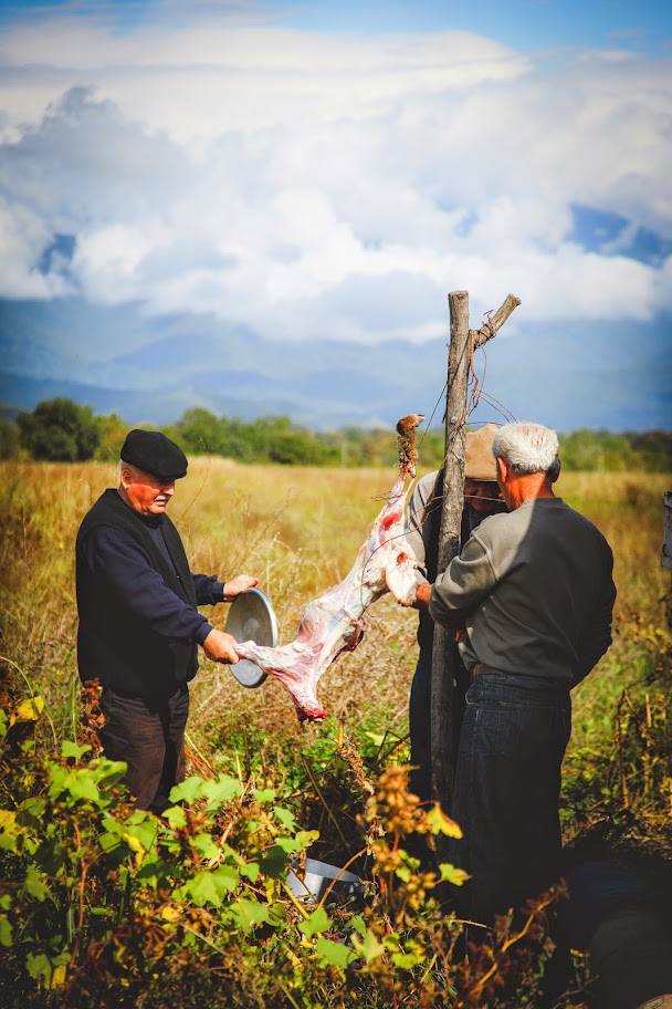 Грузия (Казбеги, Тбилиси, Кахетия) октябрь 2014 года. 10 дней без штопора
