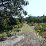 Track near Congwong Beach in Botany Bay National Park (308873)