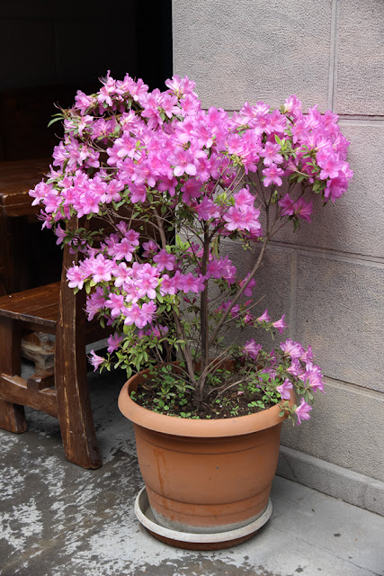 Грузинский экспресс: Тбилиси, Казбеги, Сванетия. Первомай 2015 Грузинский экспресс: Тбилиси, Казбеги, Сванетия. Первомай 2015