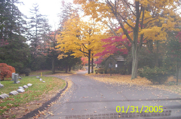 Moravian Cemetery