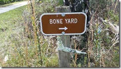 Bone Yard