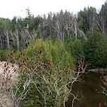 Forks of the Credit River in Caledon in Caledon, Canada 