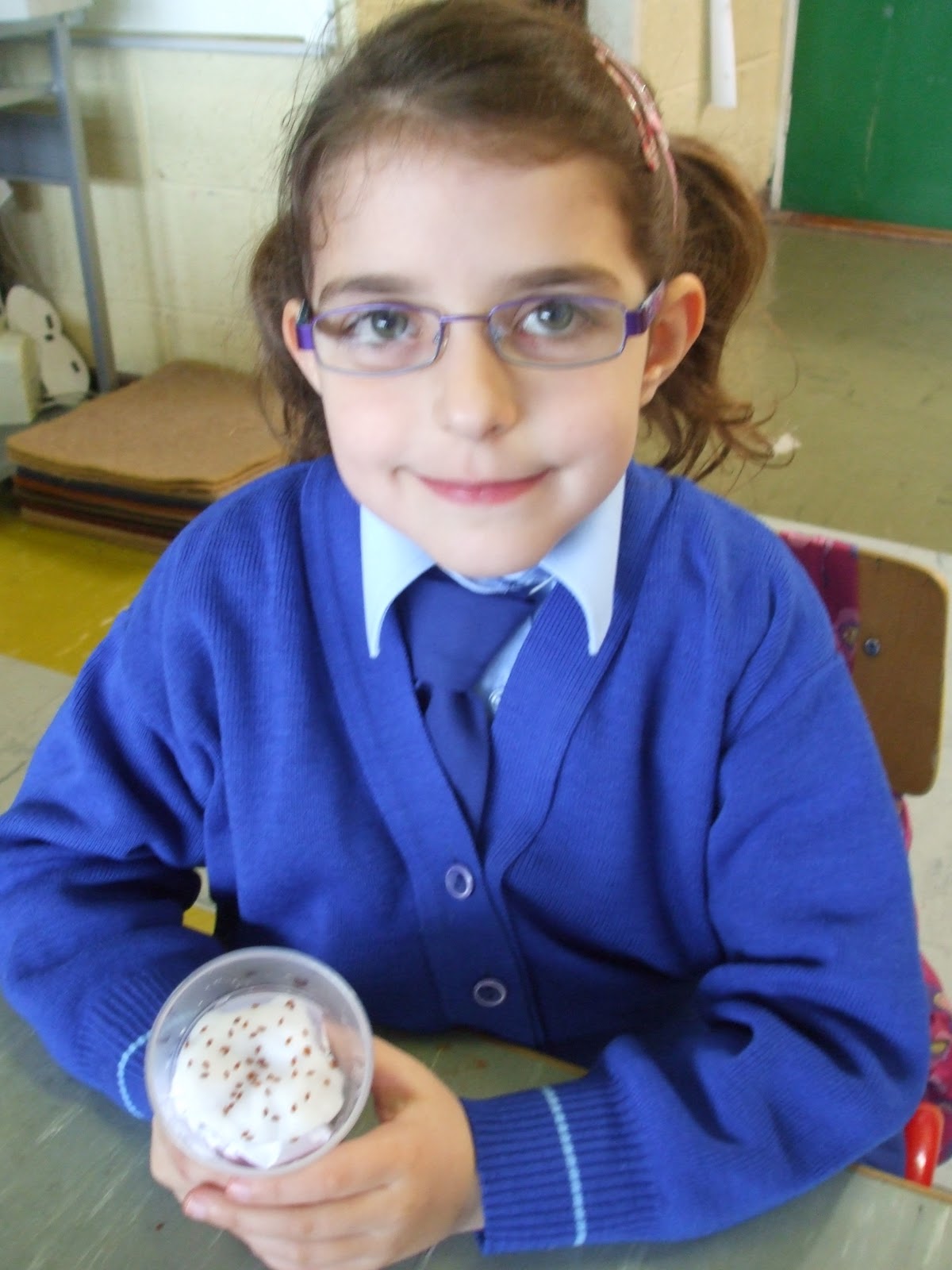 Science Projects Growing Seeds In Senior Infants
