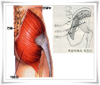 파일:external/snap.yescall.com/462979_b.jpg