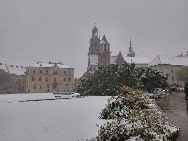 12/10- Más Cracovia y Wieliczka: De interiores y toneladas de sal - Patea conmigo Cracovia (19)