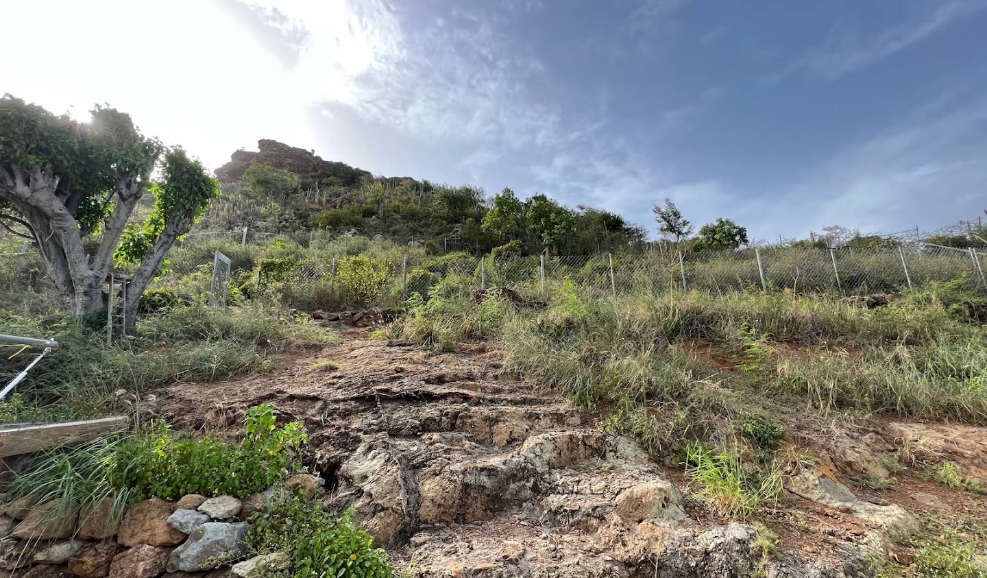 Terrain Saint Barthelemy