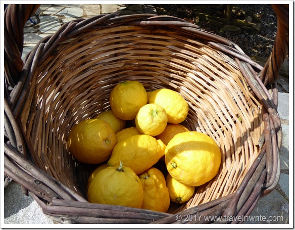 TravelnWrite: Greece ~ Where Life Gives You Lemons