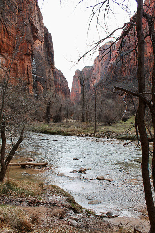 Etapa 06: Zion NP - Southwest USA Road Trip Loop (23)