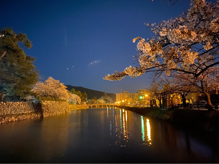 NISSAN GT-Rの桜と愛車・桜とコラボ・夜桜・桜に関するカスタム事例の投稿画像6枚目