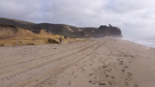 Pomponio State Beach