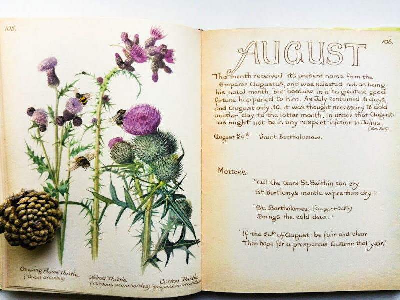 Edith Holden country diary of an edwardian lady