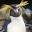 pinguino's user avatar