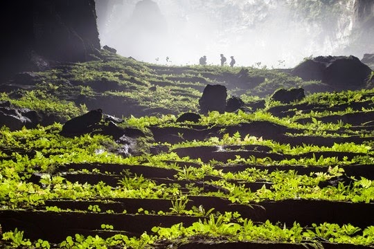 Cung chiem nguong ve dep den nghet tho o Son Doong  6