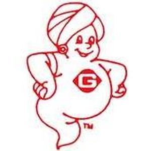 Genie Of Clearwater logo