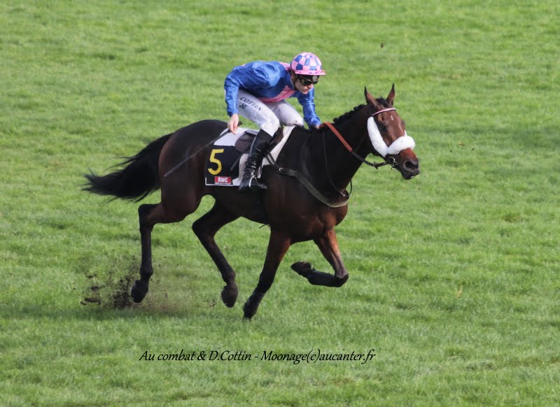 Photos Auteuil 8-11-2015 (48h de l'obstacle) IMG_6870