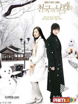 Movie Cây Thông Thiên Đường - Trees in Heaven (2006)