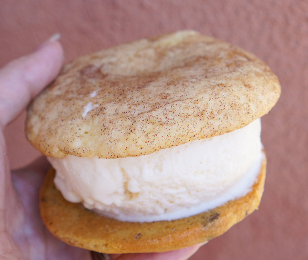 close-up photo of Chocolate Chip Cookie, Snickerdoodle, Young Coconut Ice Cream