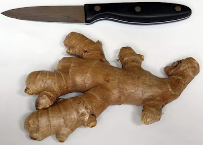 Did you know that India is the largest producer of Ginger (Zingiber officinale) in the world though not its largest exporter, and it is the underground perennial stem (rhizome) of a medicinal herb and spice?