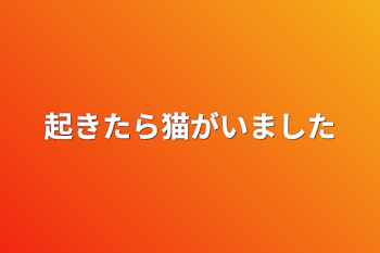 起きたら猫がいました