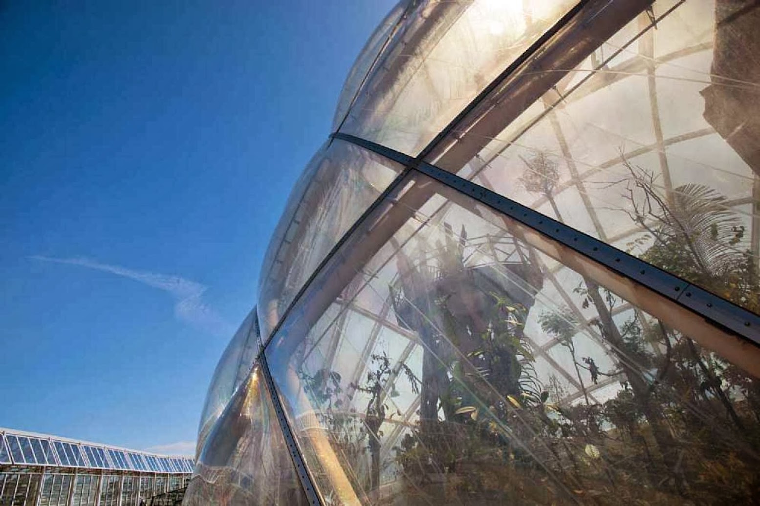 14-Greenhouse-in-the-Botanic-Garden-by-C.F.-Møller-Architects