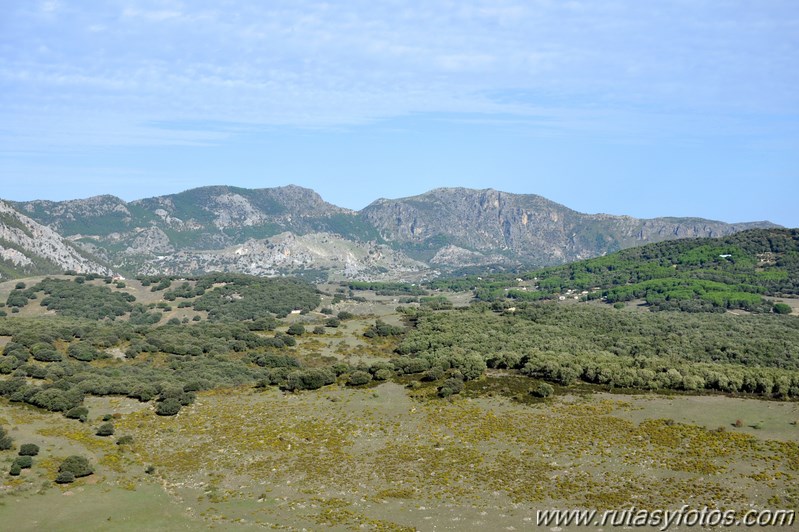 Subida a los Cerros Patagalana y Lajares