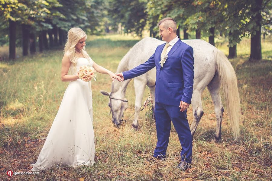 Fotógrafo de bodas Igor Isanović (igorisanovic). Foto del 10 de noviembre 2015