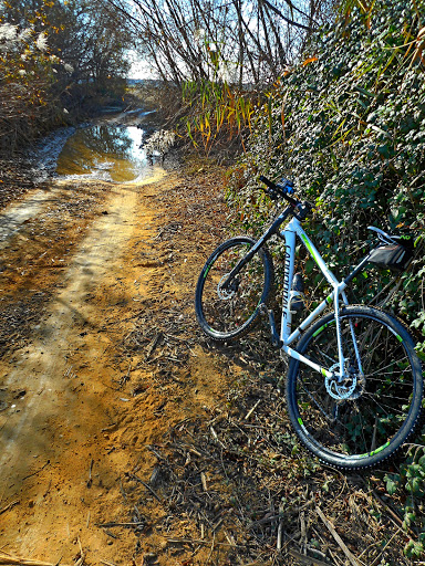 Rutas en bici. - Página 3 Navidad%2525202015%252520052