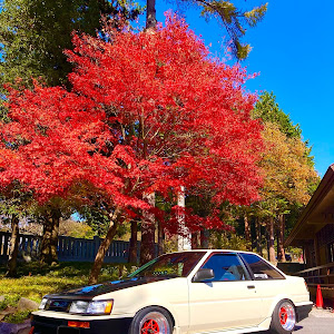 カローラレビン AE86