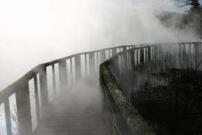 Steam-covered boardwalk, Rotorua Thermal Area