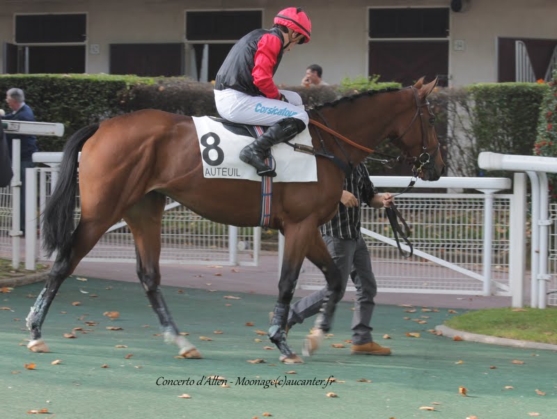 Photos Auteuil 11-10-2015 IMG_5295